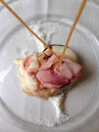 Jun 11, 2021 · la pizza con la parmigiana di melanzane di fulvio marino, la pizza a lunga lievitazione per e' sempre mezzogiorno, puntata del venerdì 11 giugno 2021. Parmigiana Di Melanzane Con Bufala E Pesce Spada Picture Of Ristorante Da Nicolo Sardinia Tripadvisor