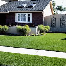 Check spelling or type a new query. Pregra Bluegrass Artificial Grass Costco