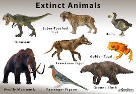 Here are 25 interesting facts about extinct animals. Extinctanimals Org Definition Of Extinction And List Of Extinct Species