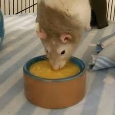 Before suggesting make sure to check out my tumblr to see if i haven't already done what you're looking for <3. ð–˜ð–•ð–†ð–ˆð–Šð–œð–†ð–ž