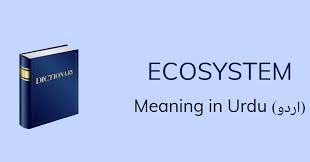 Ecosystem Meaning In Urdu Ecosystem Definition English To Urdu