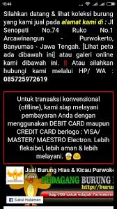 Maybe you would like to learn more about one of these? Jual Burung Hias Kicau Purwokerto Banyumas Fur Android Apk Herunterladen