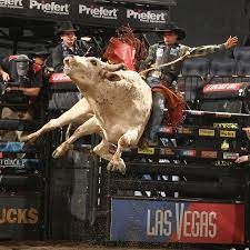 Find and download pbr backgrounds wallpapers, total 21 desktop background. Best 38 Pbr Rodeo Wallpaper On Hipwallpaper Pbr Beer Wallpaper Pbr Rodeo Wallpaper And White Trash Pbr Wallpaper