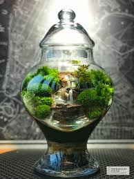 Pin By Carolina Corrales On Terrarium Scene Terrarium Scene Beautiful Terrariums Garden Terrarium