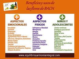 De entre todas las flores de bach para gatos, humanos y otros animales, destaca por su popularidad el remedio rescate, que es una mezcla de un mínimo de cinco esencias y que se utiliza en situaciones de estrés elevado. Beneficios De Las Flores Png Jpg 960 720 Terapia Flores De Bach Terapia Floral Terapia
