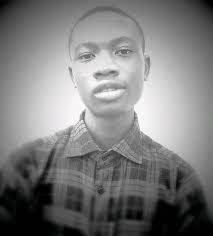 CLINTON-C.I.O OFFICIAL FAN'S