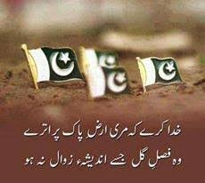 The flag of pakistan was adopted on august 11, 1947. Add Pakistani Flag 2 Ur Profile Picture On 14 August Posts Facebook