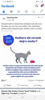 Sukran Karter Adli Kullanicinin Kedicix Panosundaki Pin Kedi