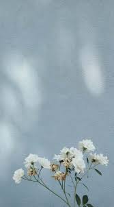 We did not find results for: 27 Ideas Flowers Aesthetic Pastel Background For 2019 Pastel Background Blue Aesthetic Pastel Flower Aesthetic
