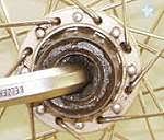Shimano Freilaufkorper Warten Ersetzen Pflegen