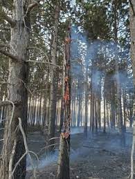 Colfax township (wexford county), michigan. Som Dnr Crews Continue To Work At 425 Acre Fire In Wexford County