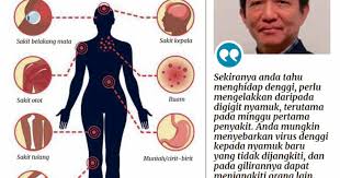 Home > headline > zona aglaonema > penyebab dan cara mengatasi daun aglaonema mengerdil memucat atau menguning. Risiko Demam Denggi