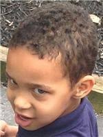 Michael Plowden Obituary (2014)