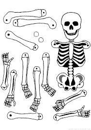 Iskelet Kalibi Okuloncesitr Preschool Iskelet Boyama Sayfalari Free
