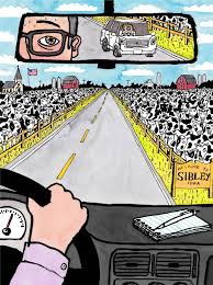 It is a safe and special dining experience. Devin Nunes S Family Farm Moved To Iowa Employs Undocumented Workers