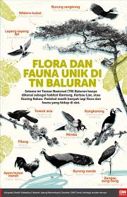 Negara kita sememangnya diketahui sebagai salah satu negara di dunia ini yang mempunyai alam sekitar yang cukup indah dan mempesonakan. Infografis Flora Dan Fauna Unik Di Tn Baluran