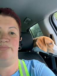 Lost dog in Pendleton County, will someone hold her?