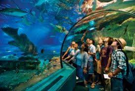 Outrigger Guam Resort Underwater World Guam Beaches Resort Beach Resorts