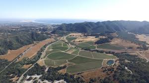 The Wine Write: Meet Tyler Eck & Dunites Wine Company