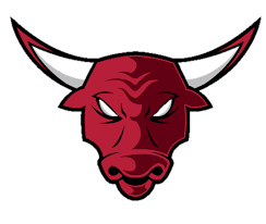 Bulls Google Search