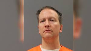 Brave geese honk at and chase after alligator at golf course