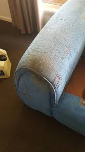 Local carpet cleaning & pest control services for homes, businesses, builders cleans and rental properties in the kilcoy, woodford and carpet, rugs, tile & grout, mattress & upholstery cleaning services and pest management. Sunset Clean Pest Management In Emerald 4720 Qld 12 Photos 6 Reviews Localsearch