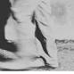 Little Image