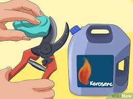 I washed jeans and the metal toggles that hold the tags from rolled up some examples are rit rust remover, whink rust remover, or goof off rustaid. How To Clean Your Rusty Garden Tools 14 Steps With Pictures