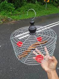 Berdirinya home industri kerajinan sangkar burung di desa dawuhan mangli. Tq Cust Dari Kl Sangkar Burung Serindit Facebook