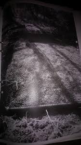 Image result for site:byggahus.se minireningsverk