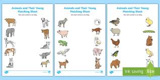 Below you'll discover the complete list of animal names our researchers have written about so far. Animals And Their Babies Worksheet For First Grade Twinkl