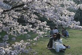 Berikut ini adalah rekomendasi tempat wisata di tokyo yang wajib kamu datangi. 14 Tempat Menarik Di Tokyo Yang Wajib Anda Lawati Bidadari My