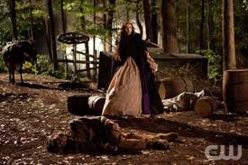 Elena And Katherine | The Vampire Diaries Wiki | Fandom