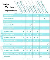 Top Dog Vaccination Record Printable Pdf Coleman Blog