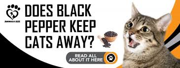 Cats don't especially enjoy the smell of lavender, peppermint or lemon. Does Black Pepper Keep Cats Away Detailed Answer