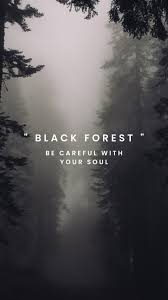 Black Forest Phone Wallpapers