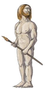 It was named as a new human species, homo neanderthalensis, eight years later in 1864. Blink Activity Blinklearning