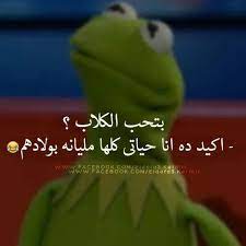 desertrose hehehe morning quotes funny funny joke quote funny arabic quotes