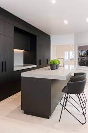 Matte Black Minimalist Fully Integrated Modern Kitchen Design Black Kitchen Cabinets Black Kitchens