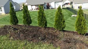 April 27, 2018 at 5:00 am. Edging Ideas The Lawn Forum
