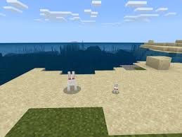 Mc addons manager makes the management of your minecraft bedrock edition addons install it on the xbox one. Unused Java Edition Mobs Minecraft Pe Addon Mod 1 16