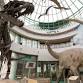A Time for Science with the NC Museum of Natural Sciences
