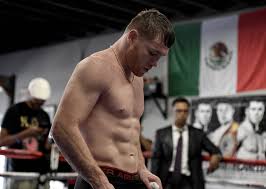 He took that won and his only defeat is mayweather iirc. Despite His Doubters Canelo Alvarez Humbly Fights For Mexico The New York Times