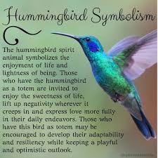 Birds And Their Meanings Hummingbird Spirit Animal Meaning Symbolism Hummingbird Symbolism Bird Meaning Hummingbird Tattoo