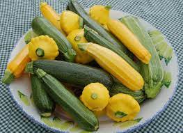 Zucchini Robinne Weiss