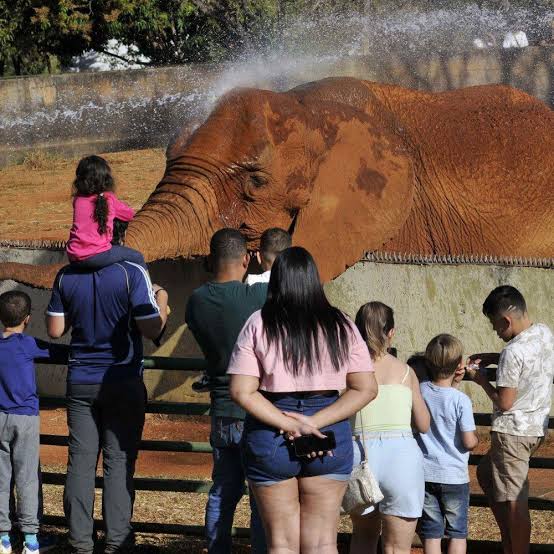 Zoo de Brasília é umas das boas opções para curtir as férias em família