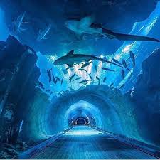 An Underwater Tunnel In Dubai Phenomenal Tag Someone You Would Walk With Dubai Aquarium Sea Life Bangkok Zoo Tickets