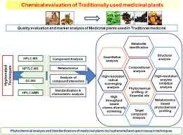 Image result for Jamesbrittenia fodina × huillana