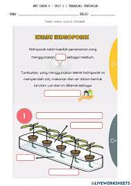 Check spelling or type a new query. Hidroponik Activity