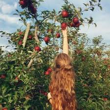 Please Take The Apple Off The Tree Idee Photo Insta Idee Photo Idees De Coiffures
